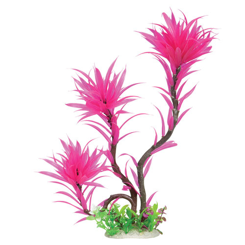 Underwater Treasures Paradise Fern Underwater Treasures Paradise Fern