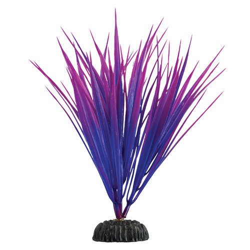 Underwater Treasures Purple Nile Grass Underwater Treasures Purple Nile Grass