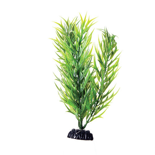 Underwater Treasures Green Bamboo Underwater Treasures Green Bamboo