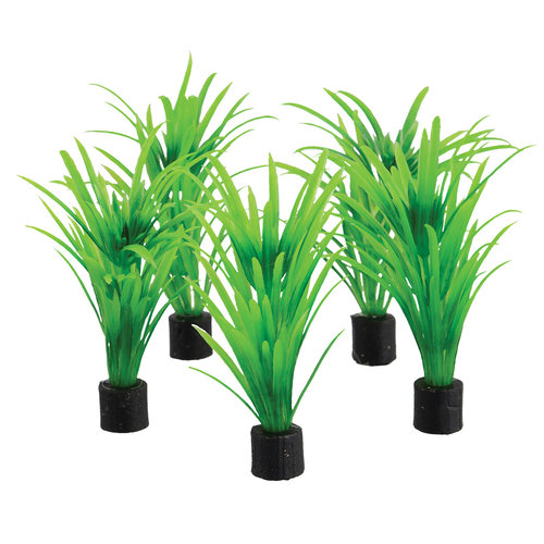 Underwater Treasures Mini Plant Underwater Treasures Mini Plant