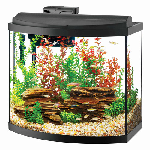 Aqueon Aqueon Bow Front Aquarium Kit Aqueon Aqueon Bow Front Aquarium Kit