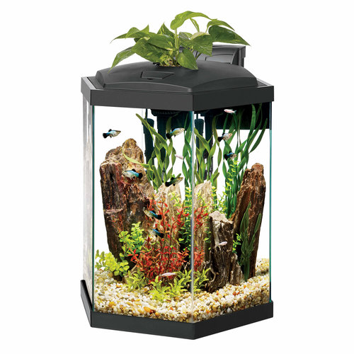 Aqueon Aqueon Premium Hexagon LED Aquarium Kit Aqueon Aqueon Premium Hexagon LED Aquarium Kit
