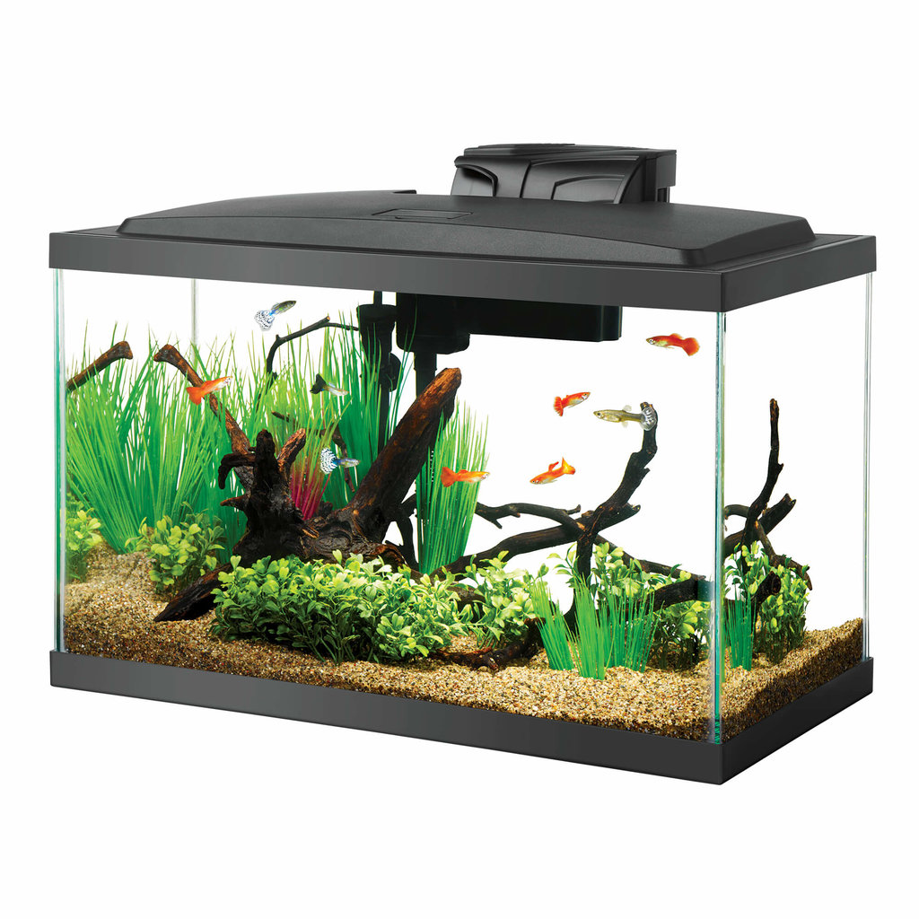 Aqueon Aqueon LED Aquarium Kit