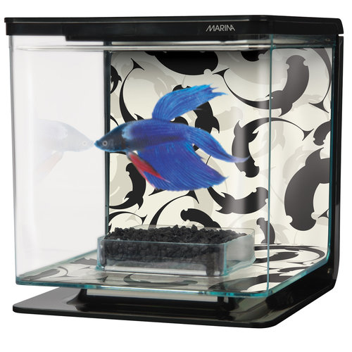 Hagen Betta Kit - Ying / Yang Theme - 2 Liter (.53 Gallon) Hagen Betta Kit - Ying / Yang Theme - 2 Liter (.53 Gallon)