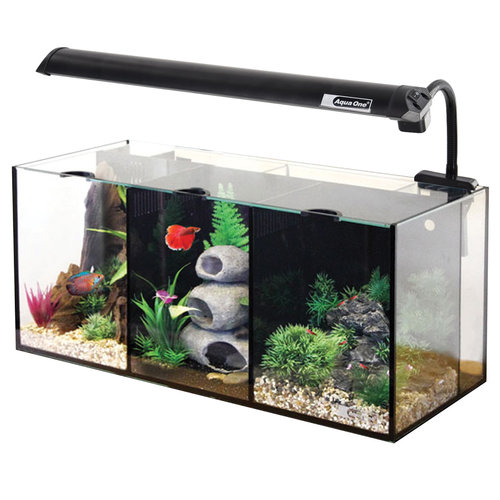 Aqua One Betta Trio - 8.4 Gallons Aqua One Betta Trio - 8.4 Gallons