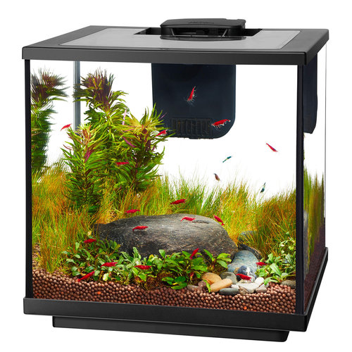 Aqueon LED Shrimp Aquarium Kit - 7.5 Gallon Aqueon LED Shrimp Aquarium Kit - 7.5 Gallon