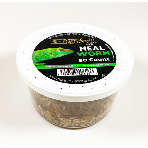 Reptifeast Mealworms 50ct Reptifeast Mealworms 50ct