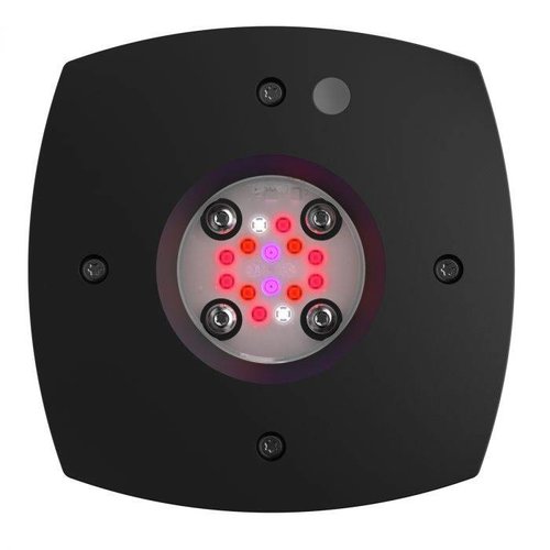 Prime 16 Fuge - Black Prime 16 Fuge - Black