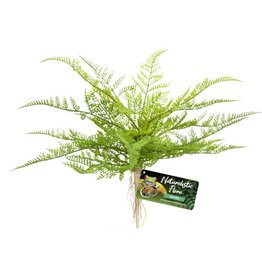 Zoo Med Naturalistic Flora Lace Fern Plant