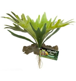Zoo Med Naturalistic Flora Staghorn Fern Plant