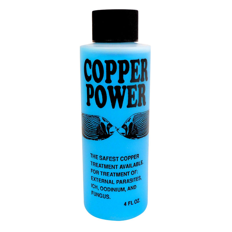 Endich Inc. Copper Power Marine (Blue)