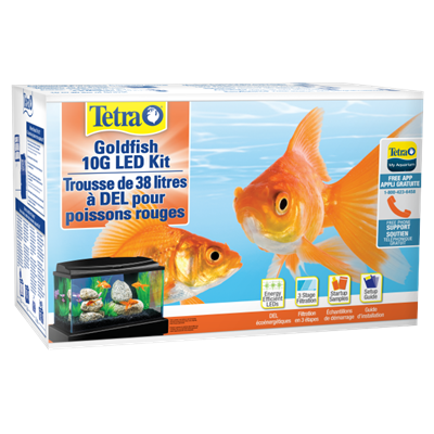 10 Gallon Goldfish LED Aquarium Kit (20 x 10 x 12) - Pet Central