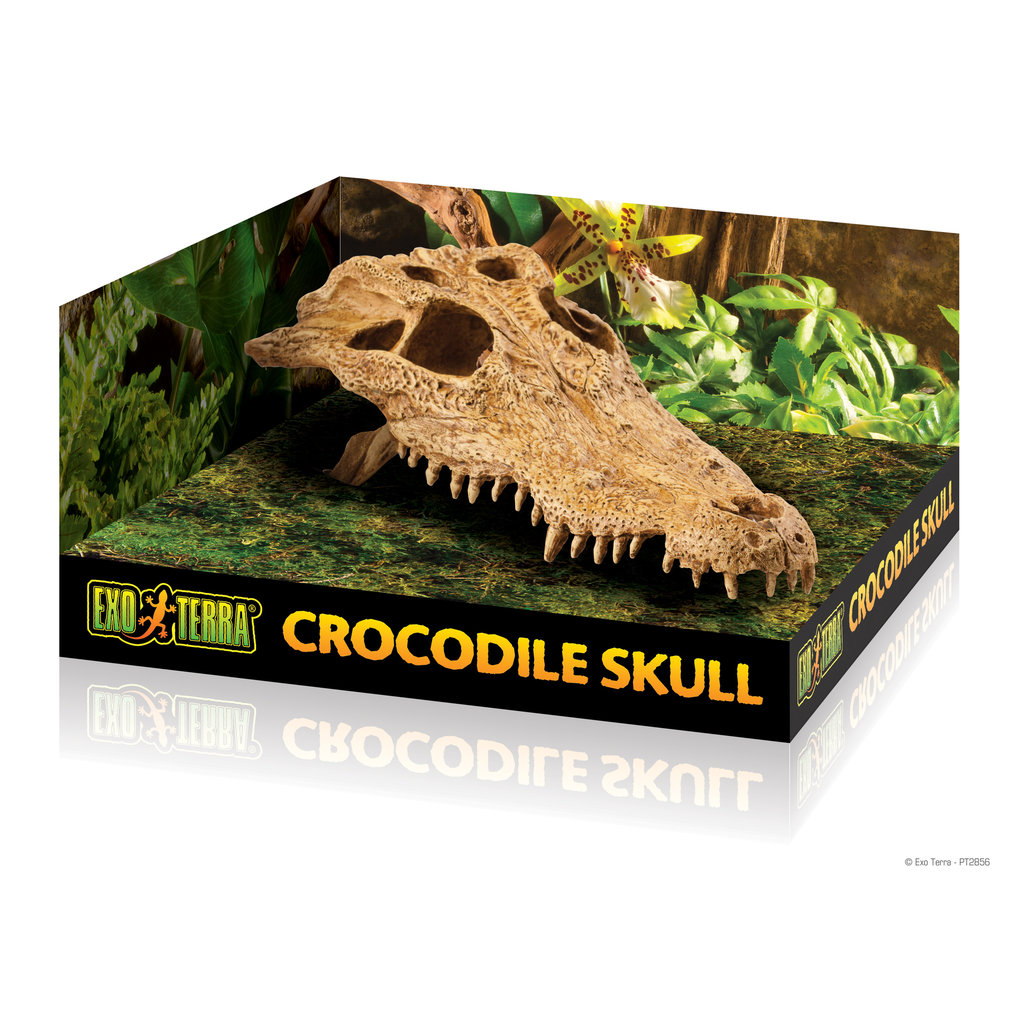 Exo Terra Crocodile Skull Terrarium Decor