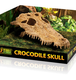 Exo Terra Crocodile Skull Terrarium Decor