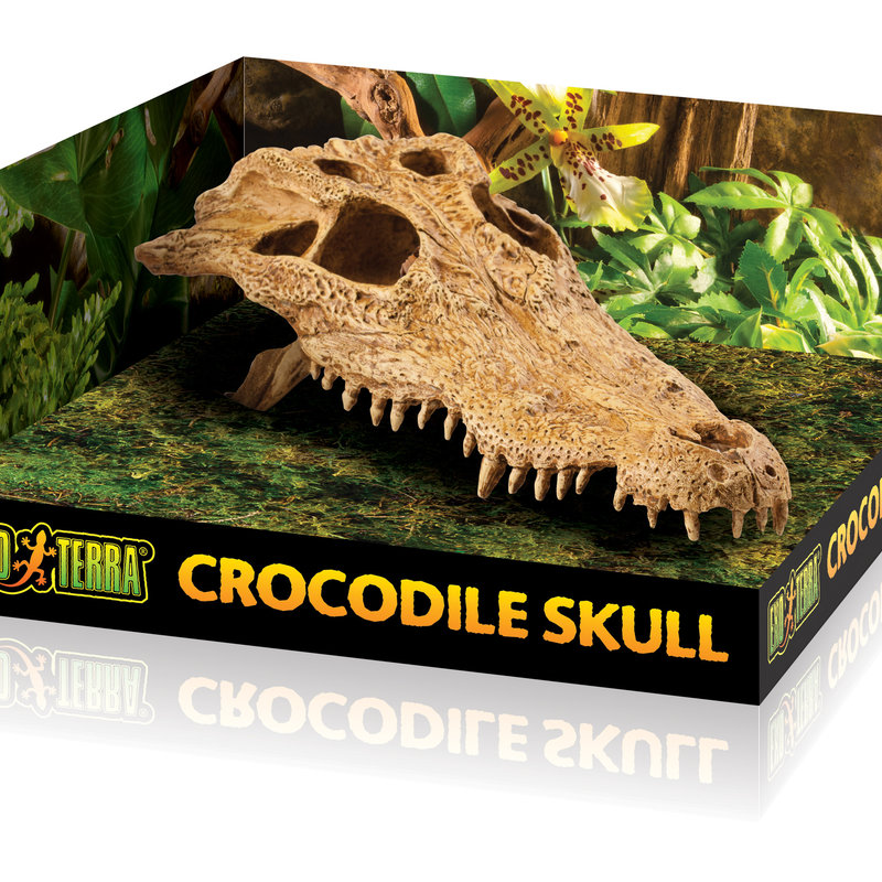 Exo Terra Crocodile Skull Terrarium Decor