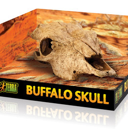 Exo Terra Buffalo Skull Terrarium Decor