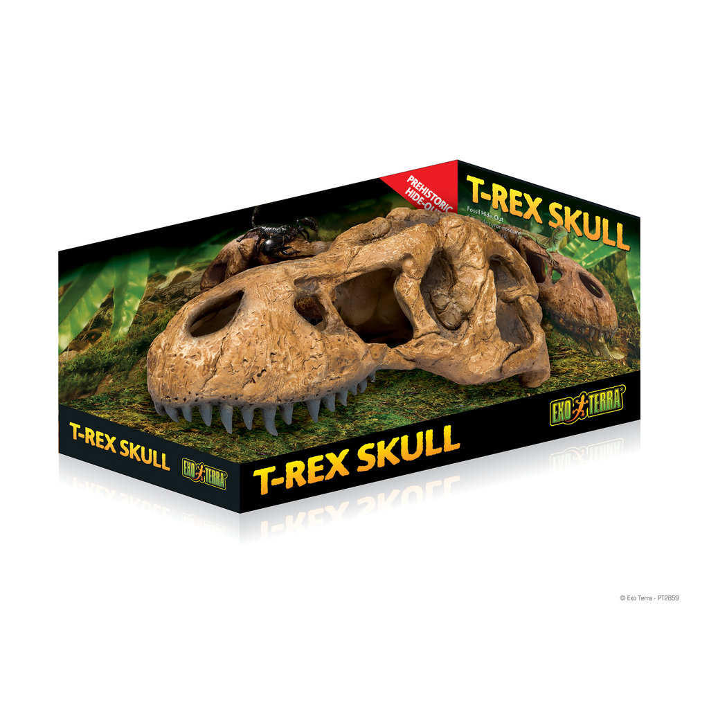 Exo Terra T-Rex Skull Terrarium Decor LG