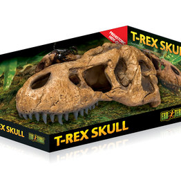 Exo Terra T-Rex Skull Terrarium Decor LG