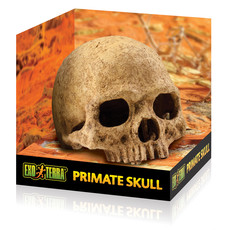 Exo Terra Primate Skull Terrarium Decor