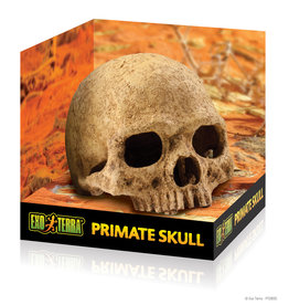 Exo Terra Primate Skull Terrarium Decor