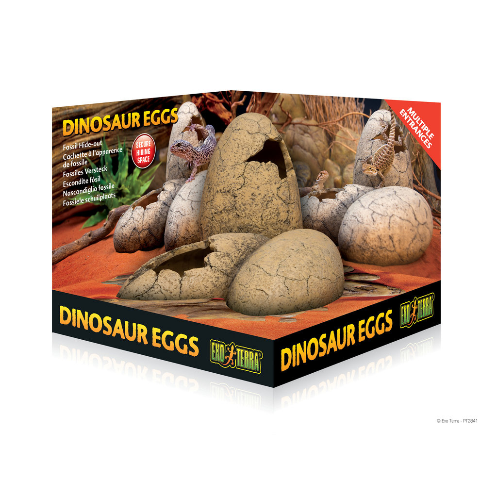 Exo Terra Dinosaur Eggs Fossil Hideout