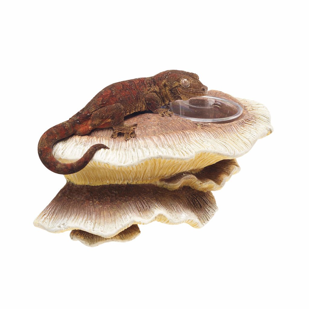 Zilla Mushroom Feeding Ledge Vertical Decor