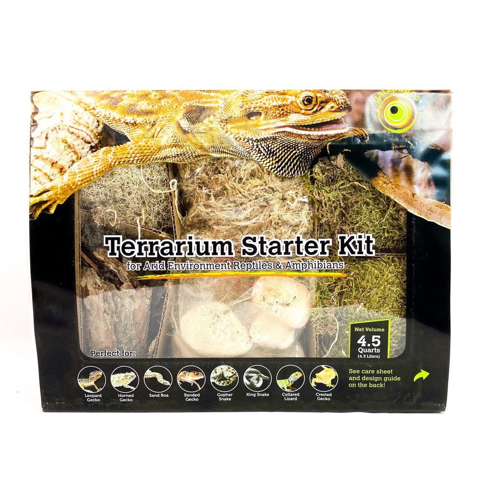 Galapagos Arid Terrarium Starter Kit