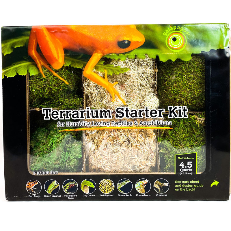 Galapagos Humid Terrarium Starter Kit