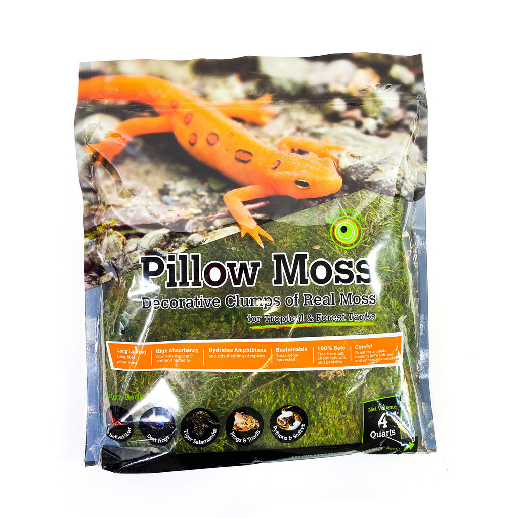 Galapagos Pillow Moss 4 quarts