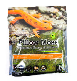 Galapagos Pillow Moss 4 quarts