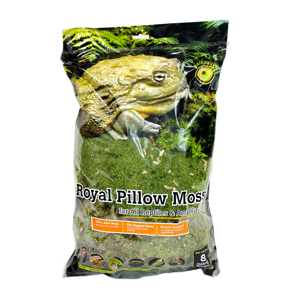 Galapagos Royal Pillow Moss 8 quarts