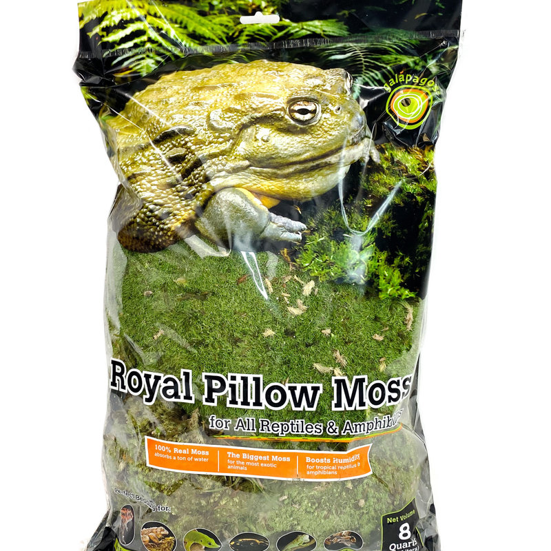 Galapagos Royal Pillow Moss for Tropical Forest Tanks 