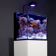 Red Sea Max Nano Complete Reef System (20 Gal) - White