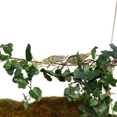 Pet Tech Jungle Vine Bridge