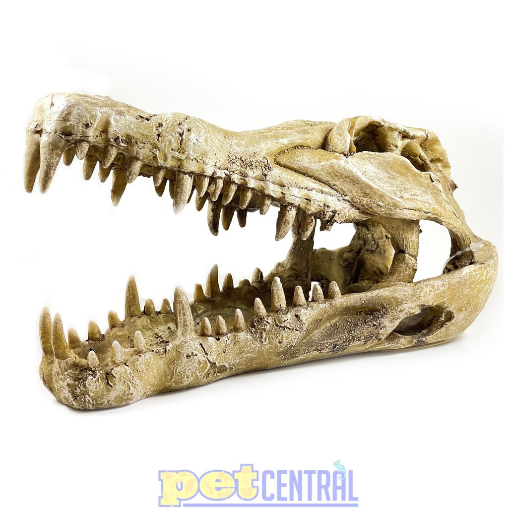 Penn Plax Gator Skull Cage Ornament