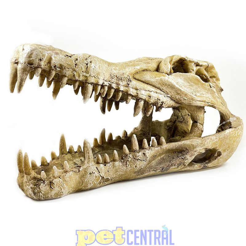 Penn Plax Gator Skull Cage Ornament