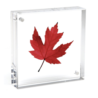 Canetti Design Group Inc. Original Magnet Frame (4x4) Canetti Design Group Inc. Original Magnet Frame (4x4)