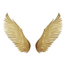 Moe's Home Collection Wings Wall Décor Gold