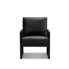 Mobital Mitchell Armchair Black Leather/Black Powder