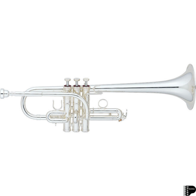 B&S 3117 4 pistons trompette Mib/Ré - AJ Atelier des Cuivres