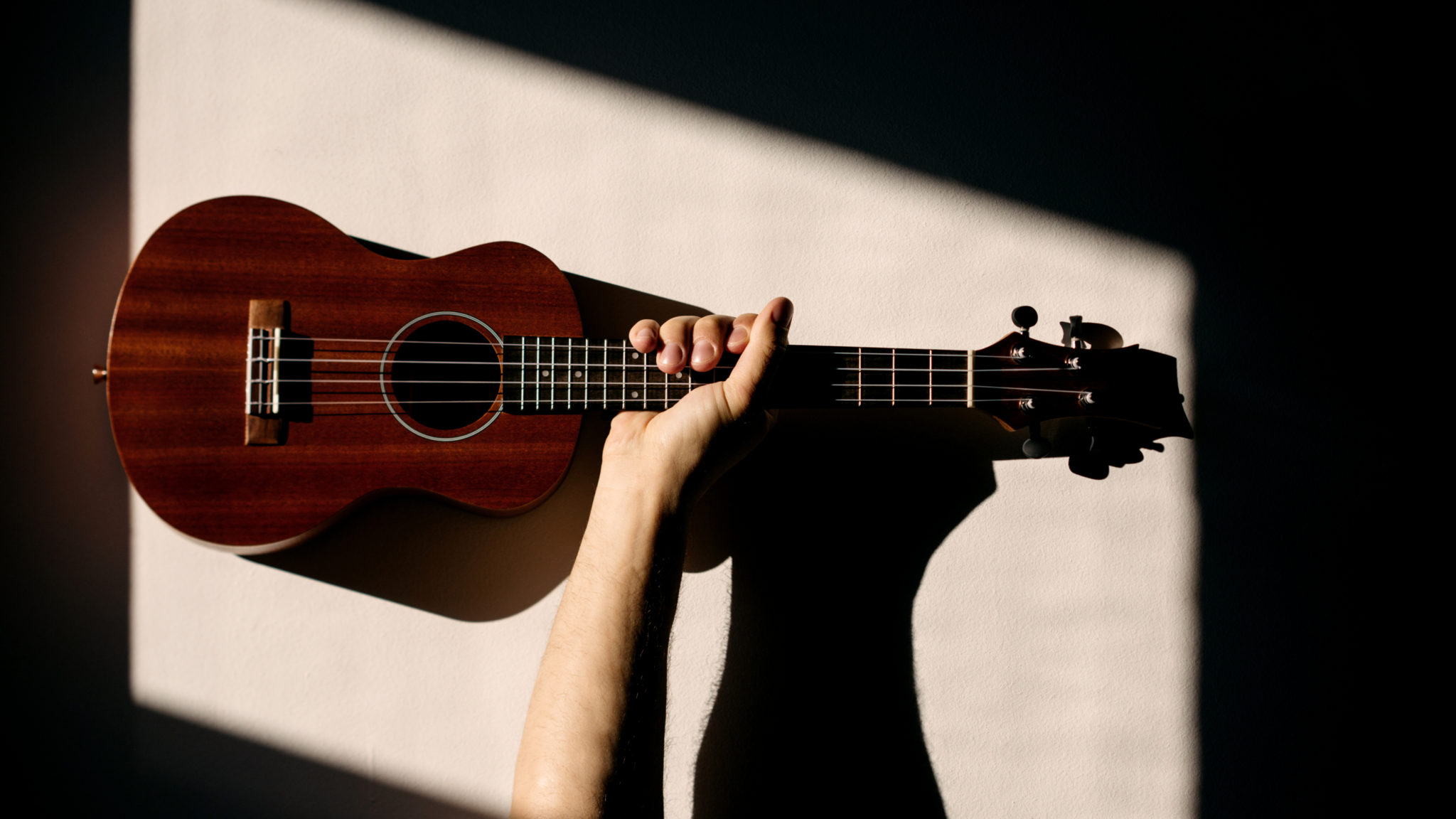 A guide to help you find the perfect ukulele - Twigg Musique