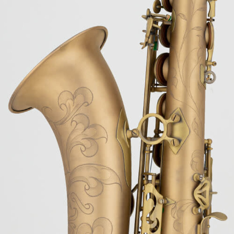 Saxophone Classic Nostalgic Style Professional Tenor Saxophone B Flat  Upgrade Keys Instrument Tenor Sax : : Musical Instruments, Stage &  Studio