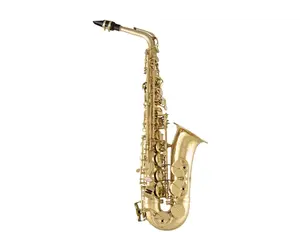 Selmer Alto Saxophone Selmer SAS711