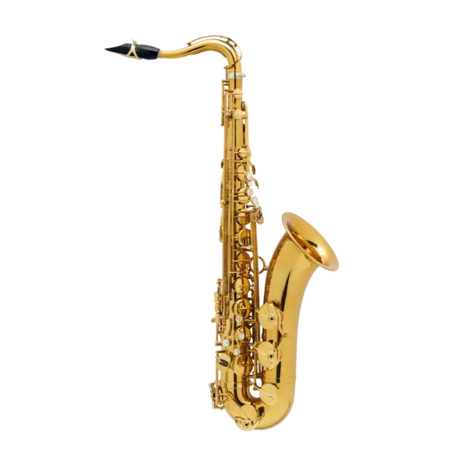 Yanagisawa TWO37 Elite Tenor Saxophone - Sterling Silver Body, Neck, Bow,  and Bell, Professional Tenor Saxophones: Pro Winds