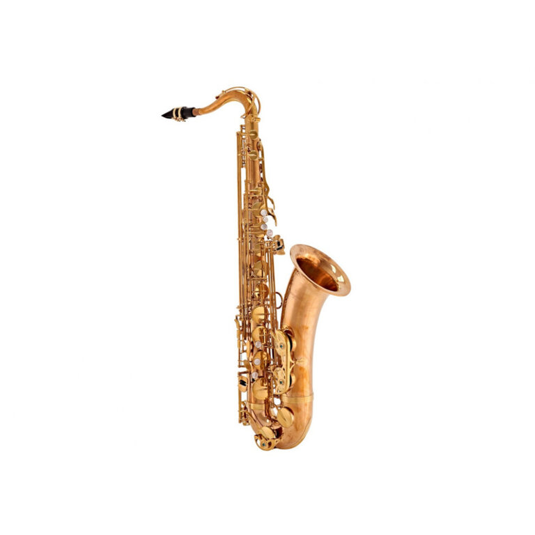 Yanagisawa TWO37 Elite Tenor Saxophone - Sterling Silver Body, Neck, Bow,  and Bell, Professional Tenor Saxophones: Pro Winds