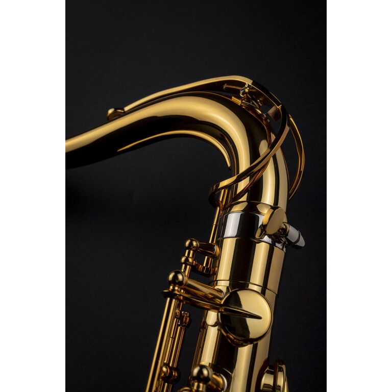 Henri SELMER Paris - Signature tenor saxophone