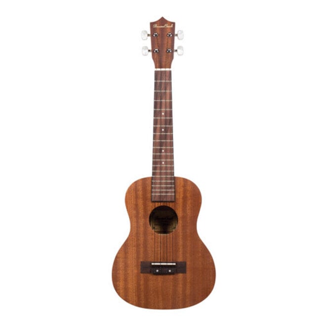 Cordes Ukulele Ernie Ball