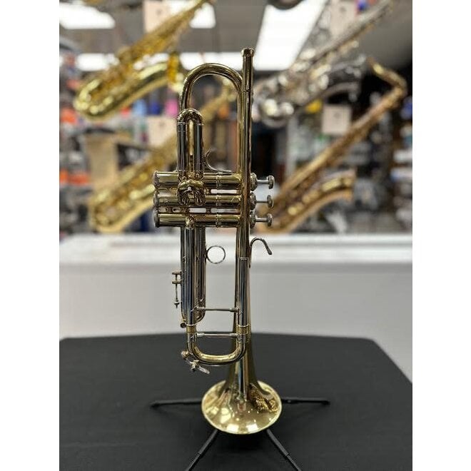 A B&M CHAMPION BRASS TRUMPET With two mouthpieces, in hard carry case.  (case 55cm x 18cm x 12cm)