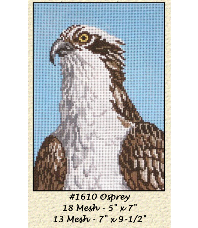 Osprey, 13 Ct