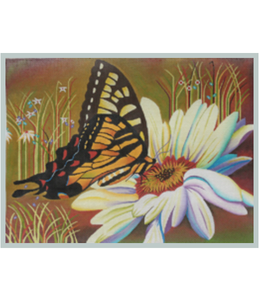 Butterfly/Sunflower